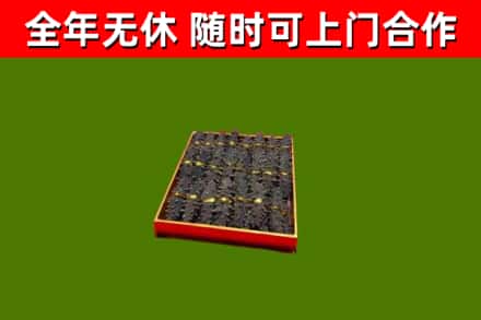 滨海县回收海参